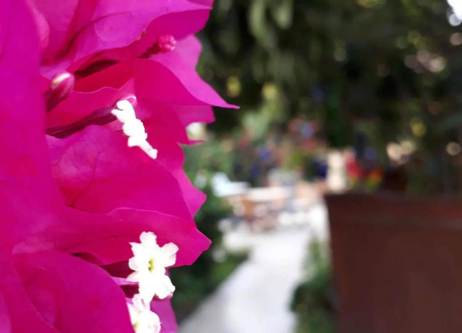 Kybelehotel Fethiye 0*,